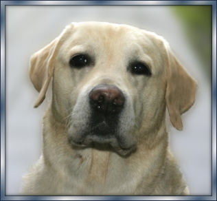 "Truls" Bumpkin�s Extra-Special